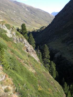 Část údolí Rofental